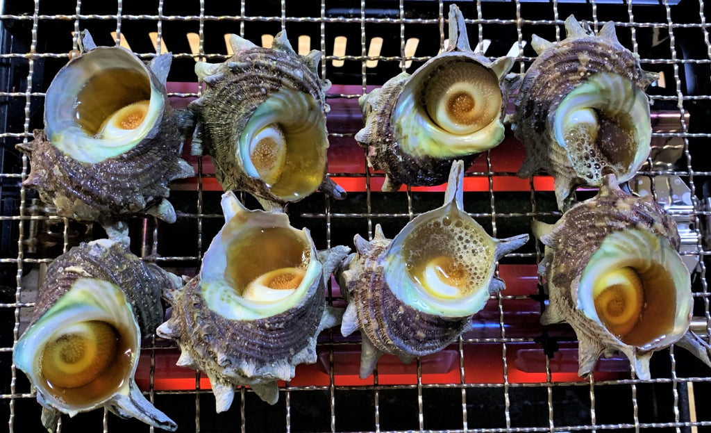 佐賀に来たなら波戸岬のサザエの壺焼きを堪能しよう！