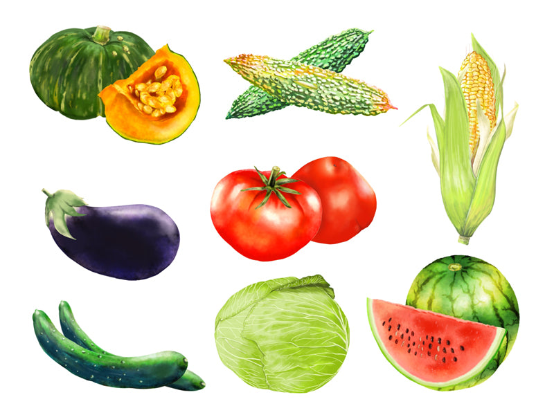 夏を乗り切ろう！美味しい夏野菜の見分け方