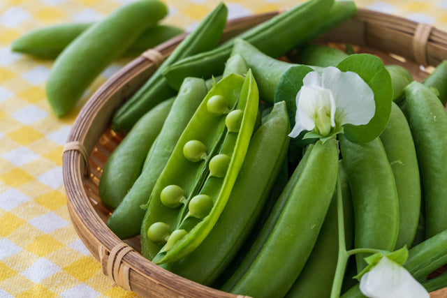 ５月野菜のおいしいレシピ