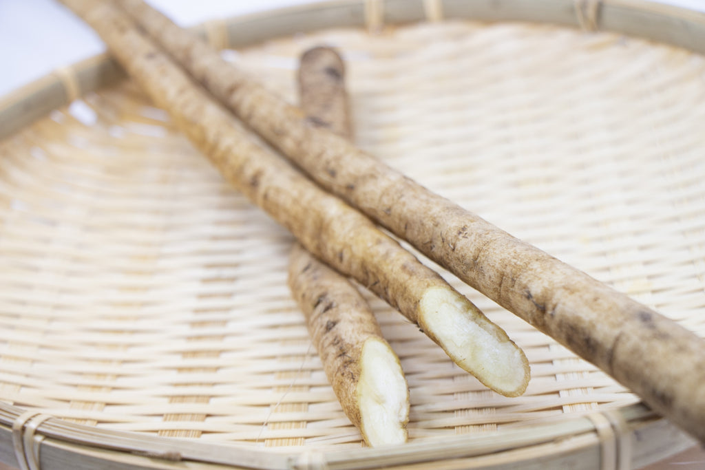 今が旬の新ごぼうを食べよう！