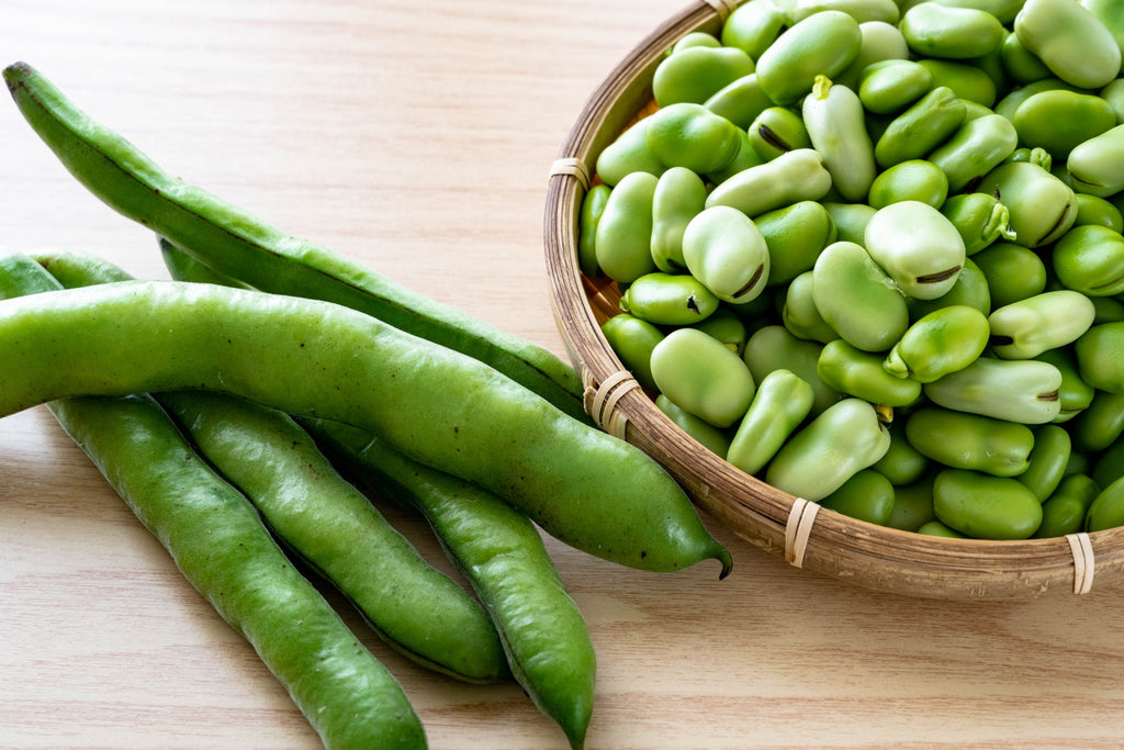 そら豆ってどんなもの？旬や起源、食べ方などをご紹介！