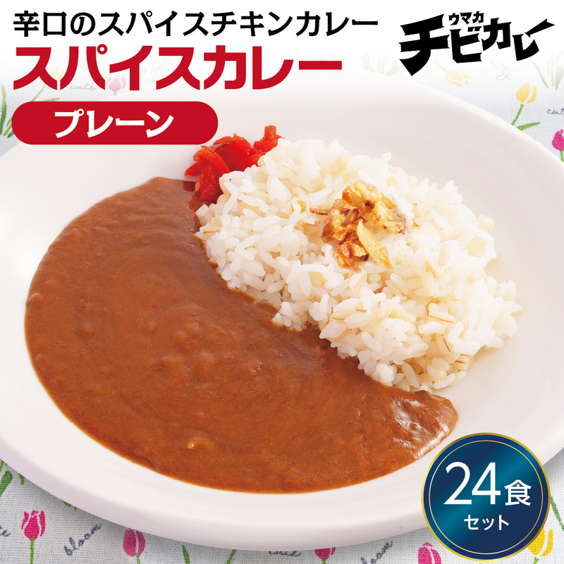 スパイスカレー プレーン 24食セット