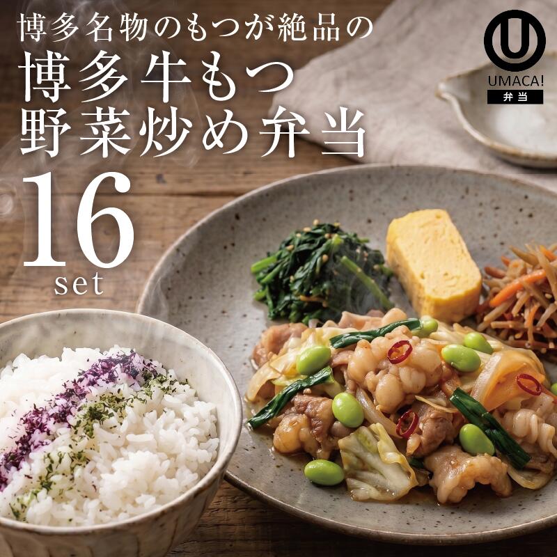 弁当16セット 博多牛もつ野菜炒め