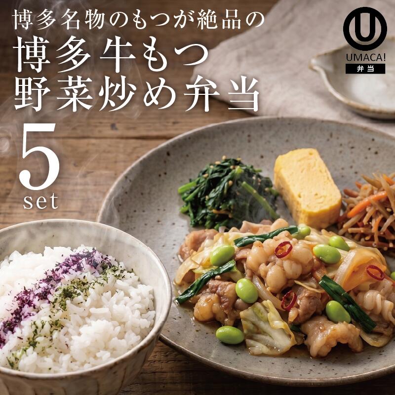 弁当5セット 博多牛もつ野菜炒め
