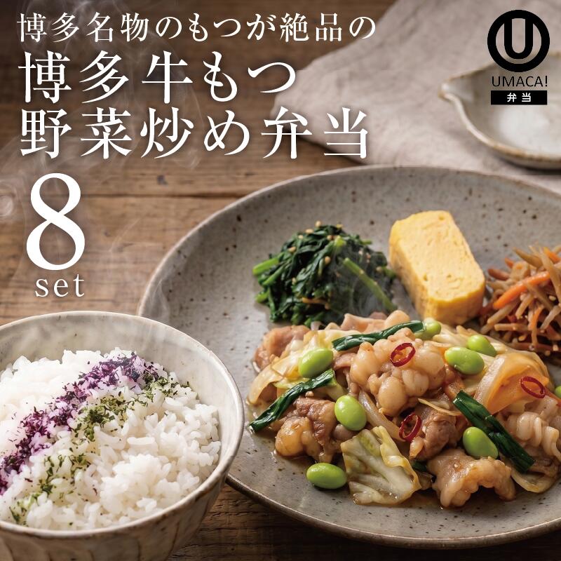 弁当8セット 博多牛もつ野菜炒め