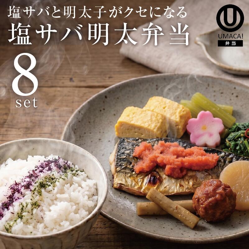 弁当8セット 塩サバ明太