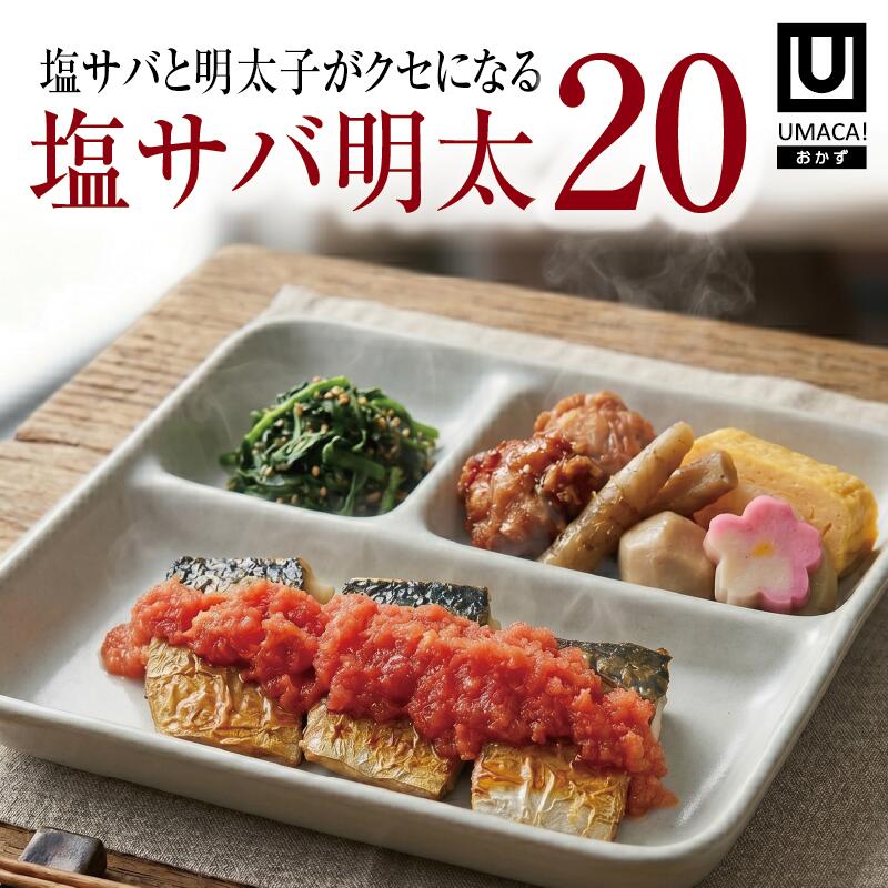 おかず20セット 塩サバ明太