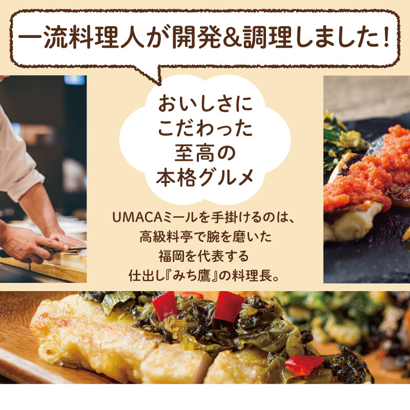 【UMACA冷凍】九州名物の冷凍弁当16食セット