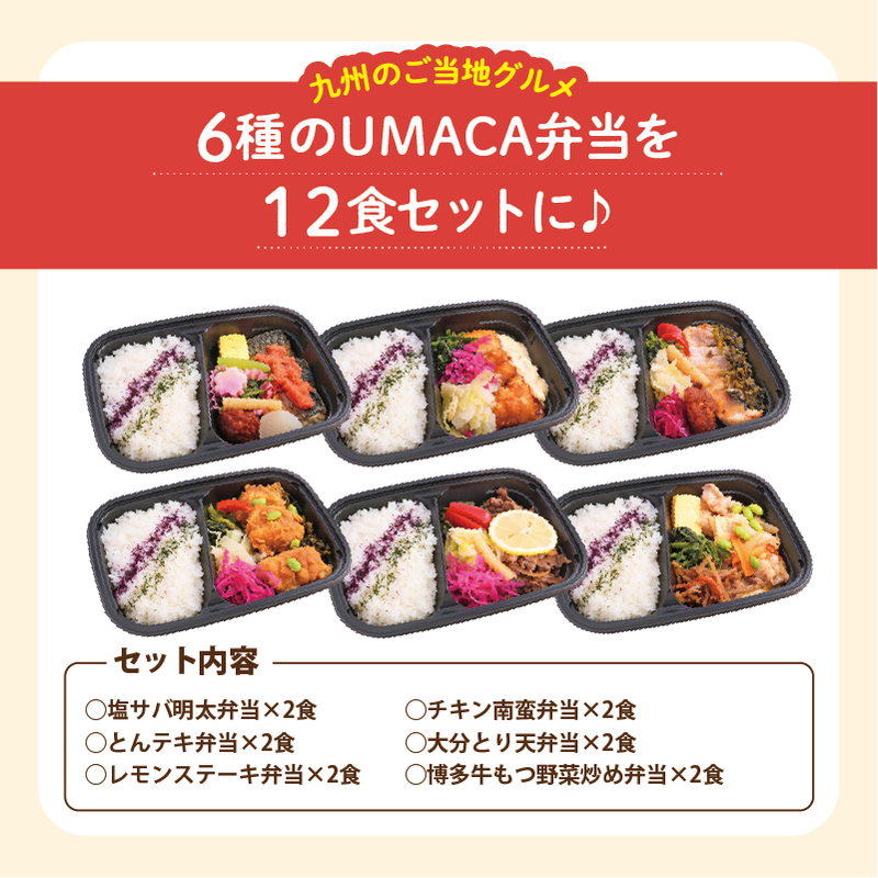 【UMACA冷凍】九州名物の冷凍弁当12食セット