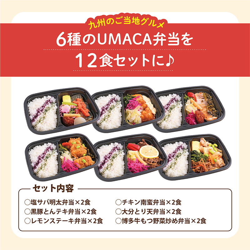 【UMACA冷凍】九州名物の冷凍弁当12食セット