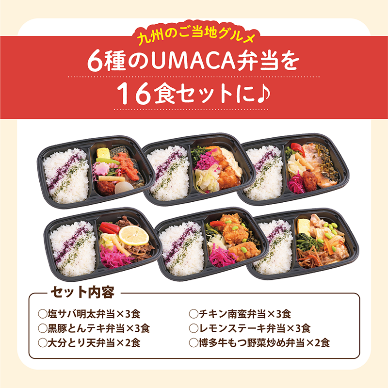 【UMACA冷凍】九州名物の冷凍弁当16食セット