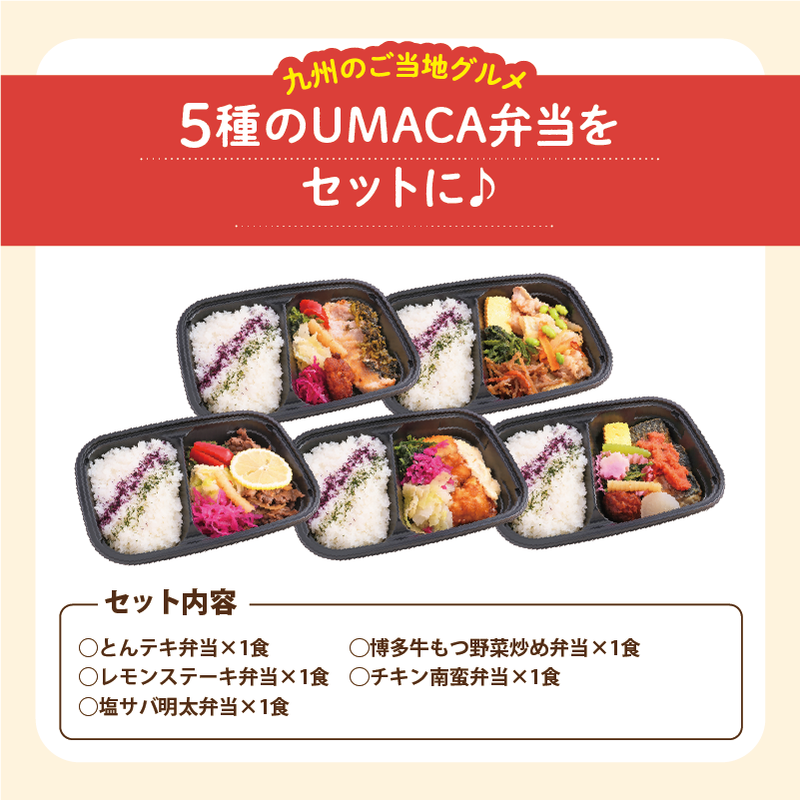 【UMACA冷凍】九州名物の冷凍弁当5食セット