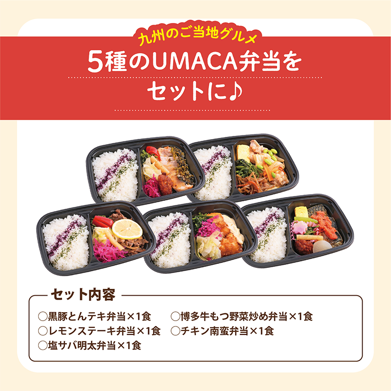 【UMACA冷凍】九州名物の冷凍弁当5食セット