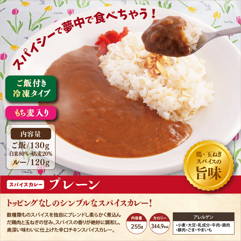 【チビカレー】スパイスカレー24食セット