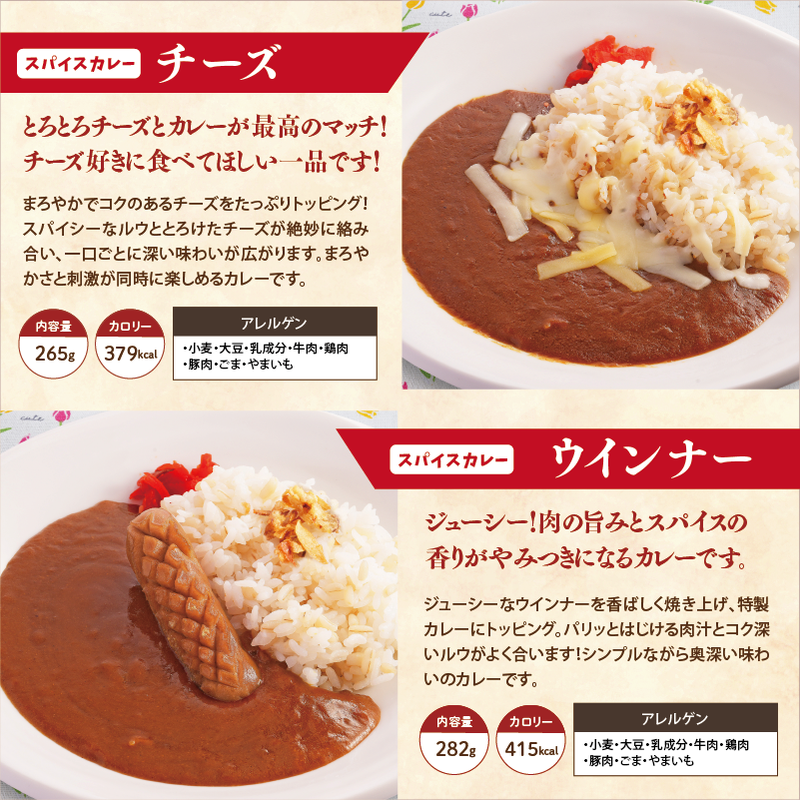 【チビカレー】スパイスカレー24食セット