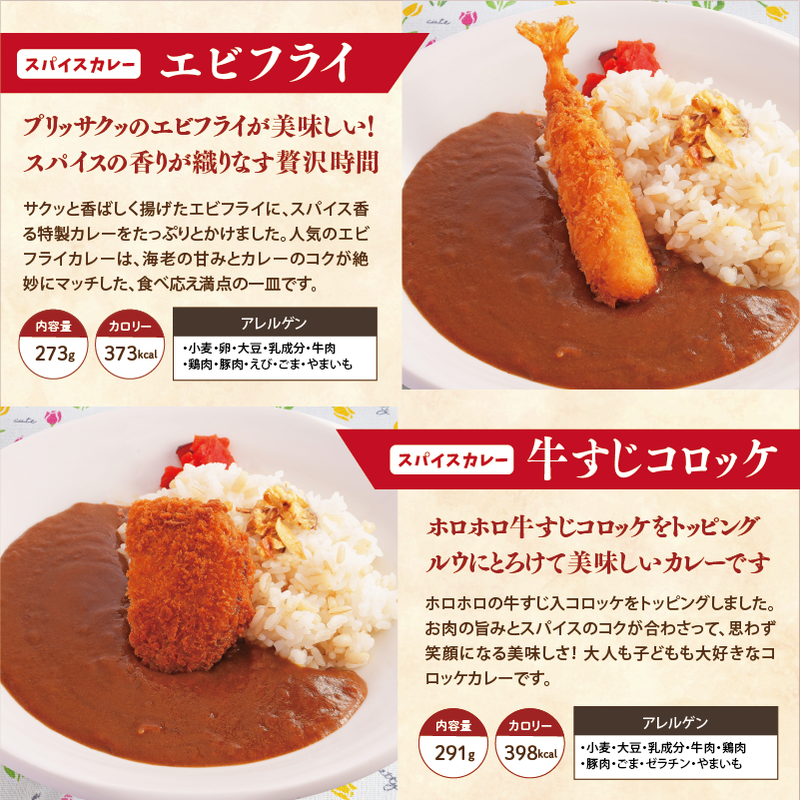 【チビカレー】スパイスカレー24食セット