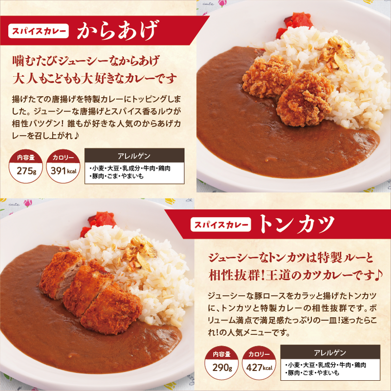 【チビカレー】スパイスカレー24食セット