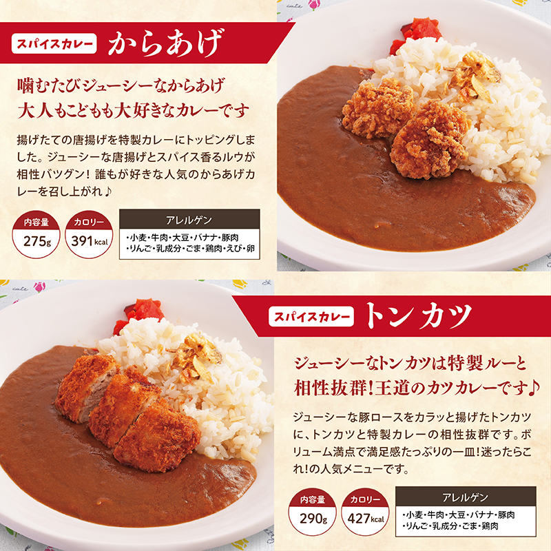 【チビカレー】スパイスカレー24食セット
